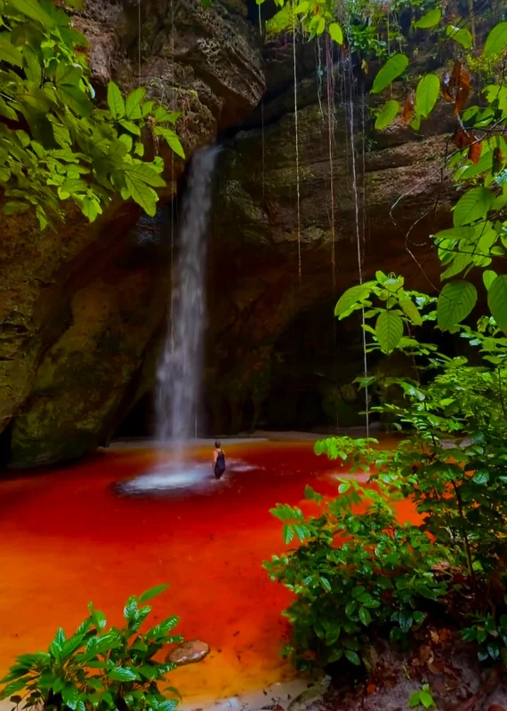 Amazonas - Serviços 2